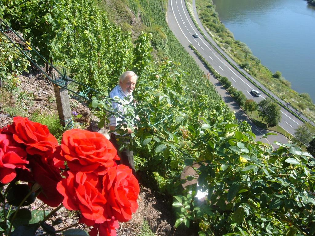 ブレム Kleines Winzerhauschenヴィラ 部屋 写真
