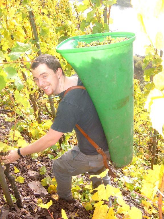 ブレム Kleines Winzerhauschenヴィラ 部屋 写真